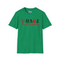 Chaos Coordinator Adult T-shirt