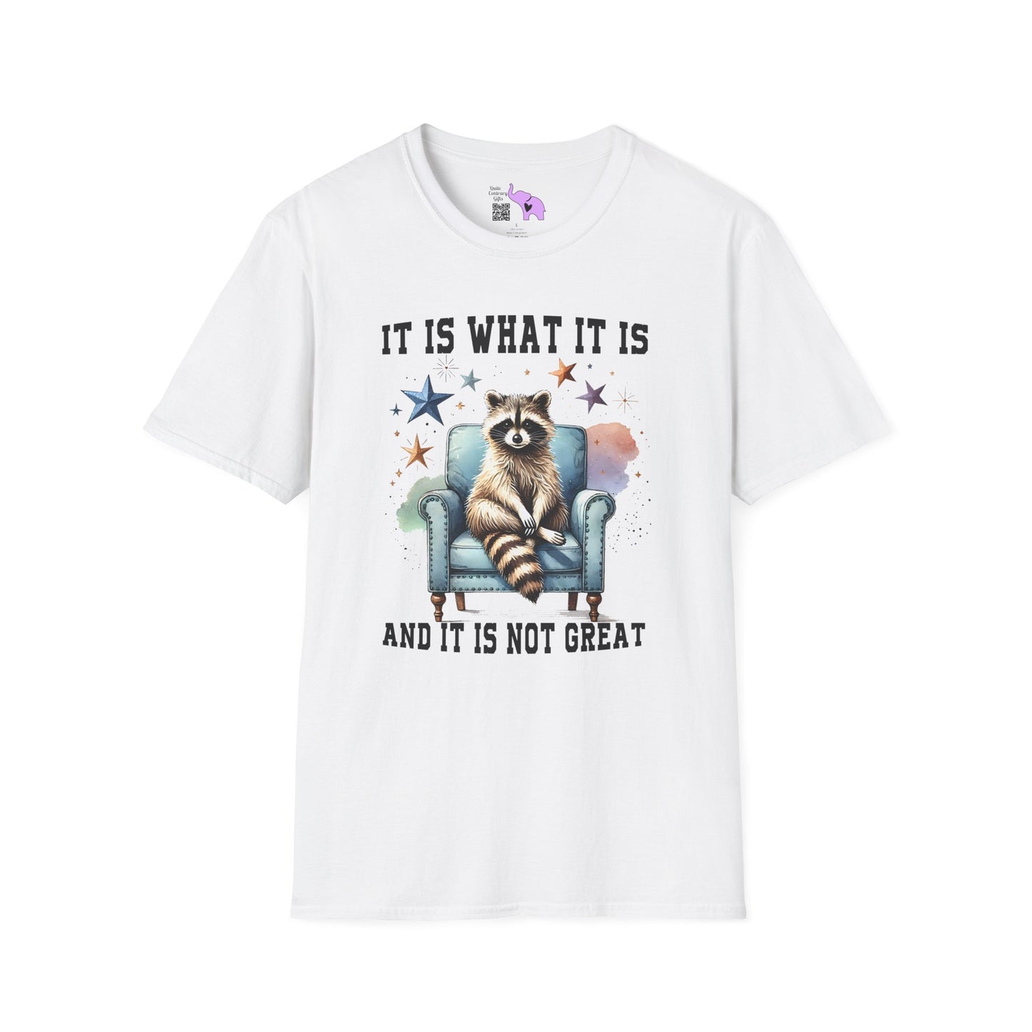 It Is What It Is And It's Not Great Racoon (2) Adult T-shirt