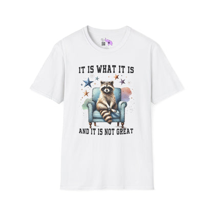 It Is What It Is And It's Not Great Racoon (2) Adult T-shirt