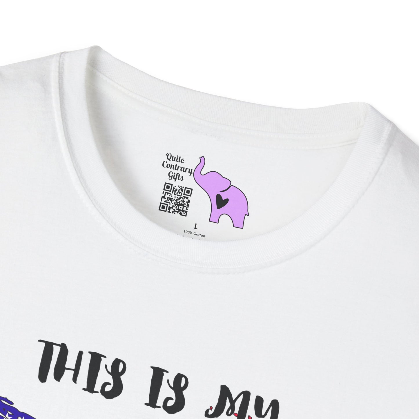 This is My Pride Flag American Flag Adult T-shirt