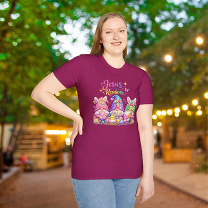 Jesus Is The Reason Adult T-shirt