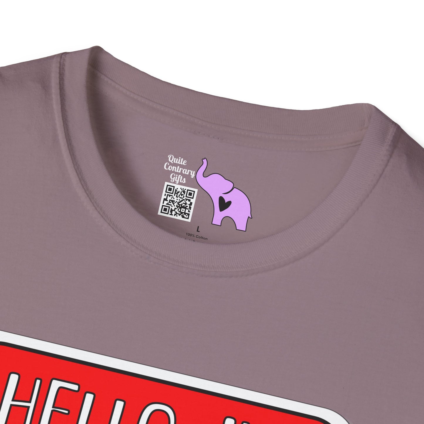 Hello, I'm Using My Last Spoons To Enjoy Time With You Adult T-shirt