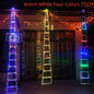North Pole Ladder Lights
