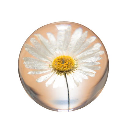 Beautiful Dandelion Globe Lamp