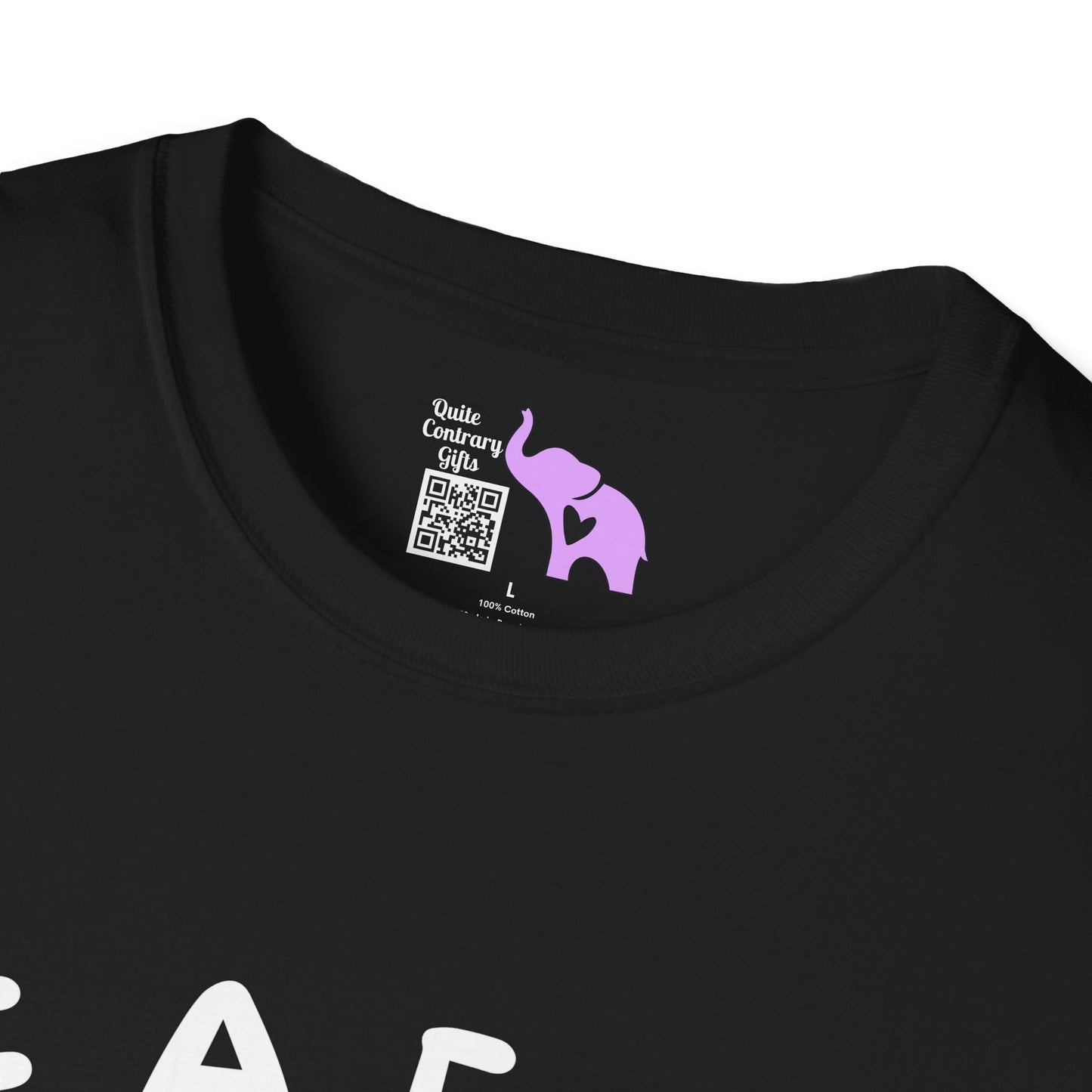 Fiddle Around & Find Out Adult T-shirt