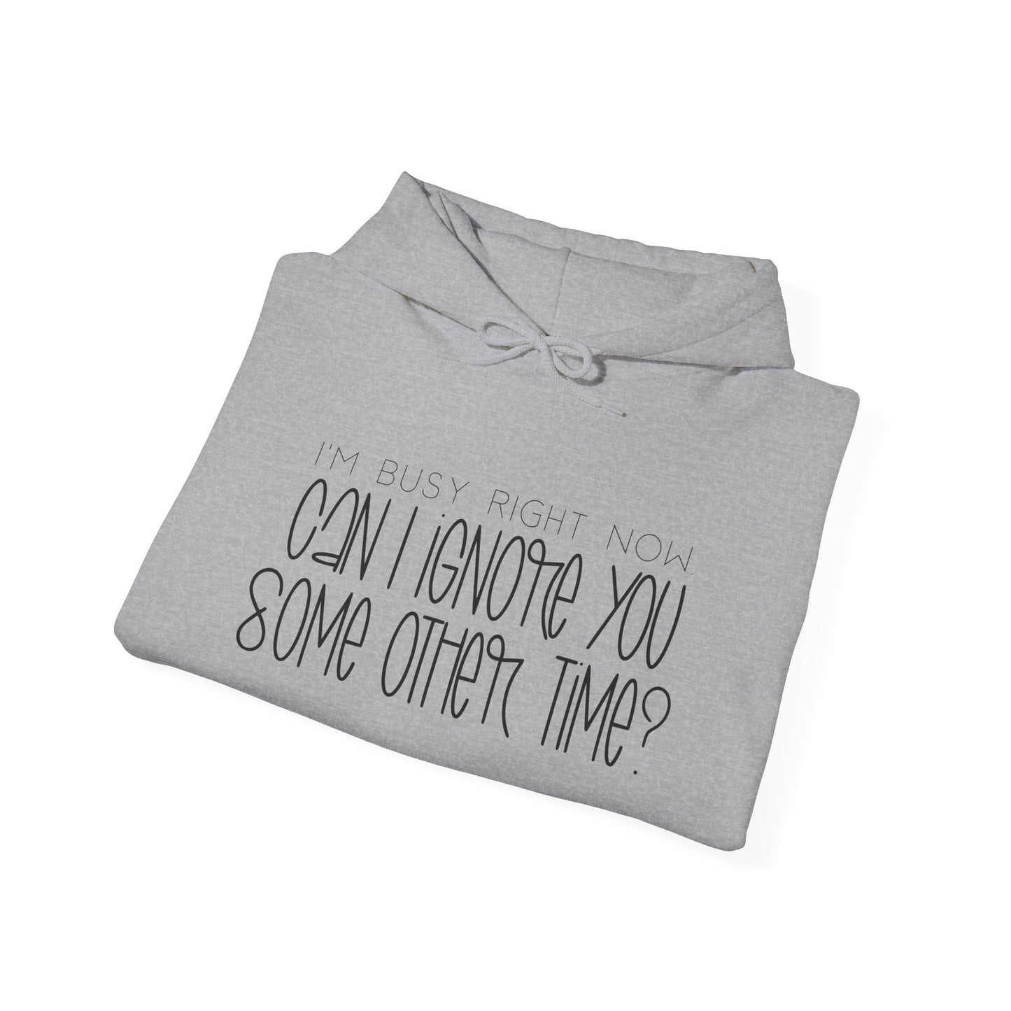 I'm Busy Right Now Can I Ignore You Later? Heavy Blend™ Hooded Sweatshirt