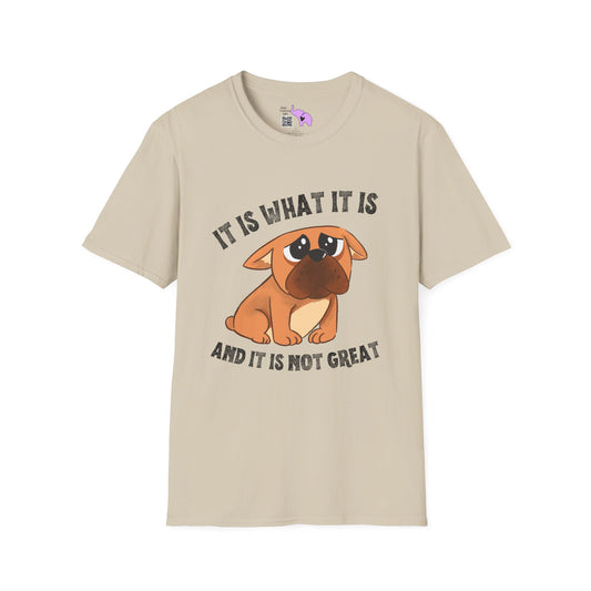 It Is What It Is And It's Not Great T-shirt