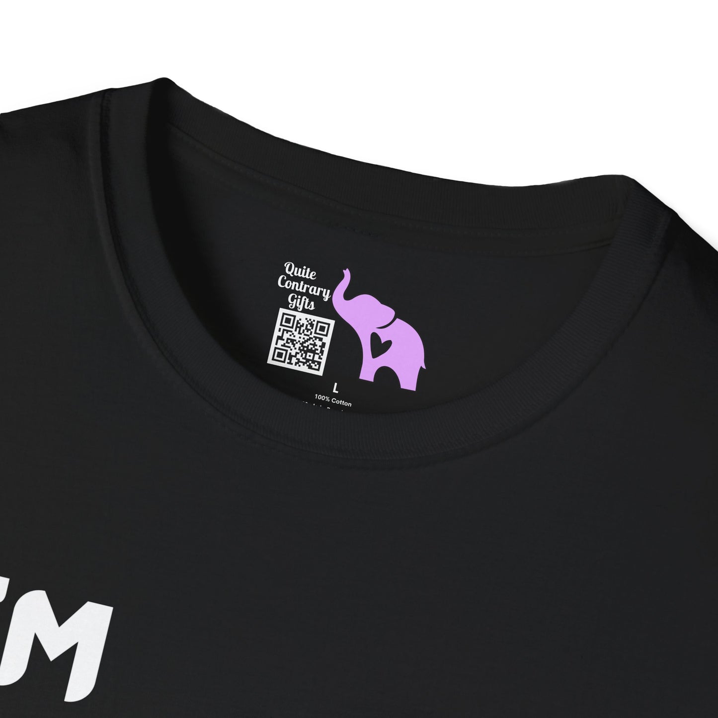 I'm GenX I Don't Care Adult T-shirt