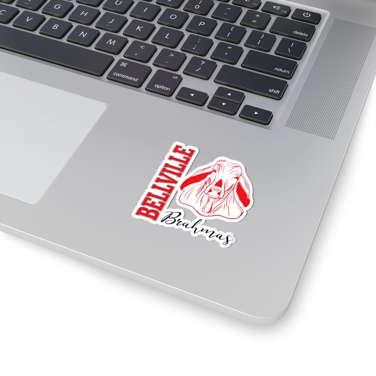 Bellville Vertical Fury, Black Kiss-Cut Decal