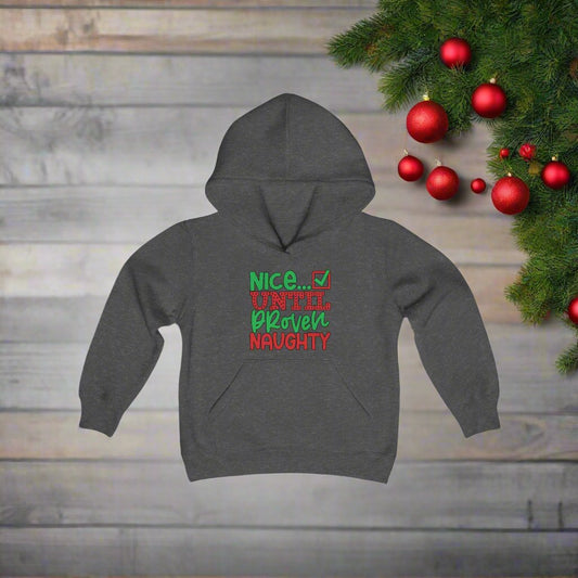 Nice Until Proven Naughty 2 Youth Hoodie