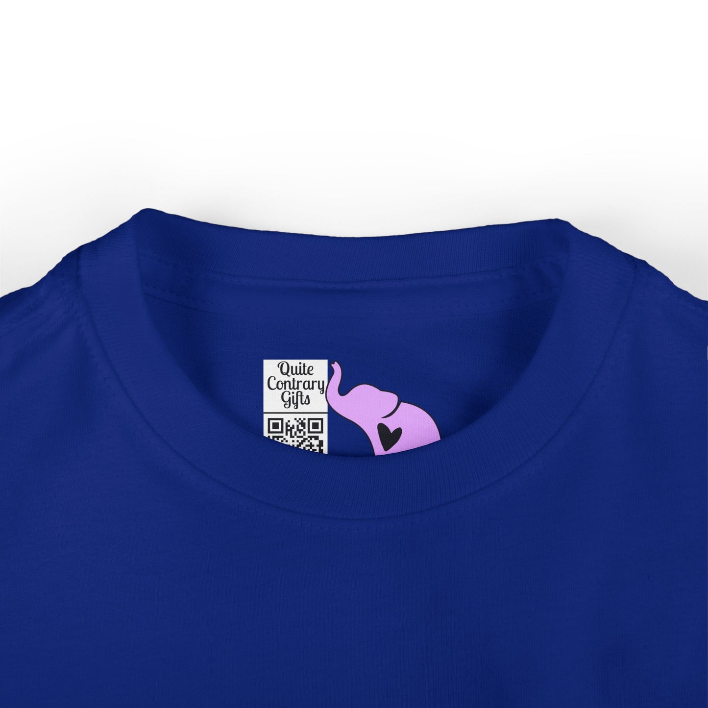 Rawr Means I Love You in Dinosaur Infant Soft T-Shirt
