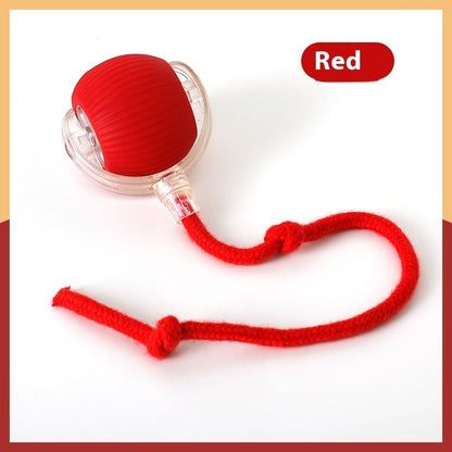 Interactive Rechargeable Cat/Dog Toy Ball