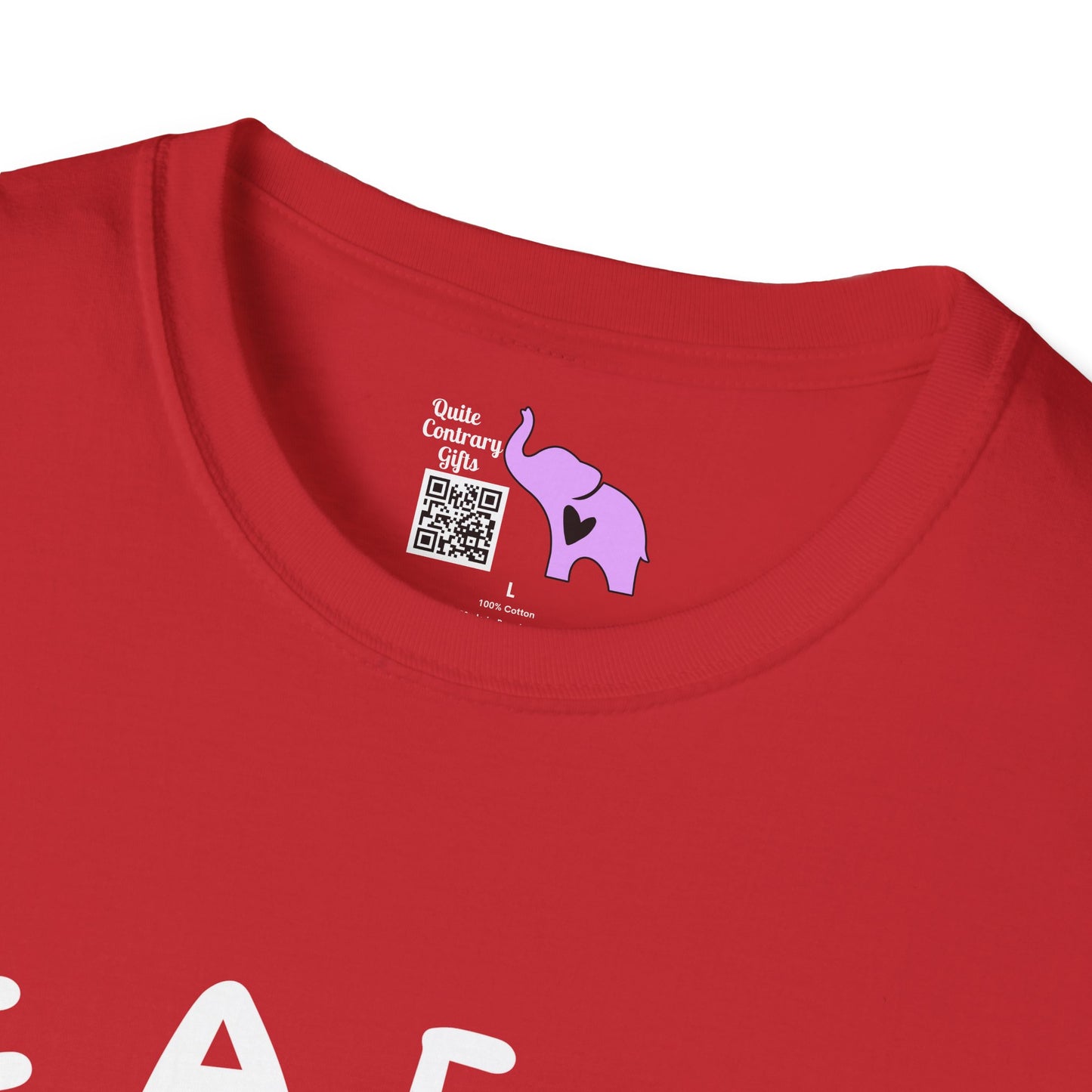 Fiddle Around & Find Out Adult T-shirt