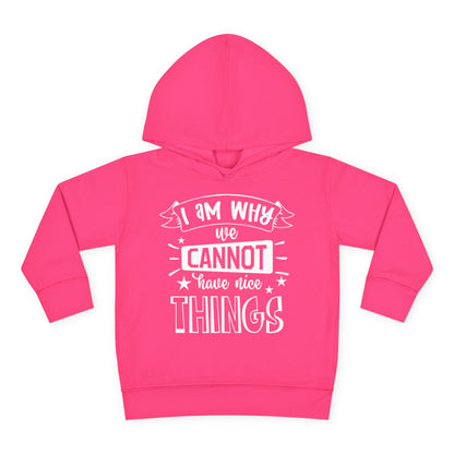 I Am Why We Cannot Have Nice Things Toddler Hoodie