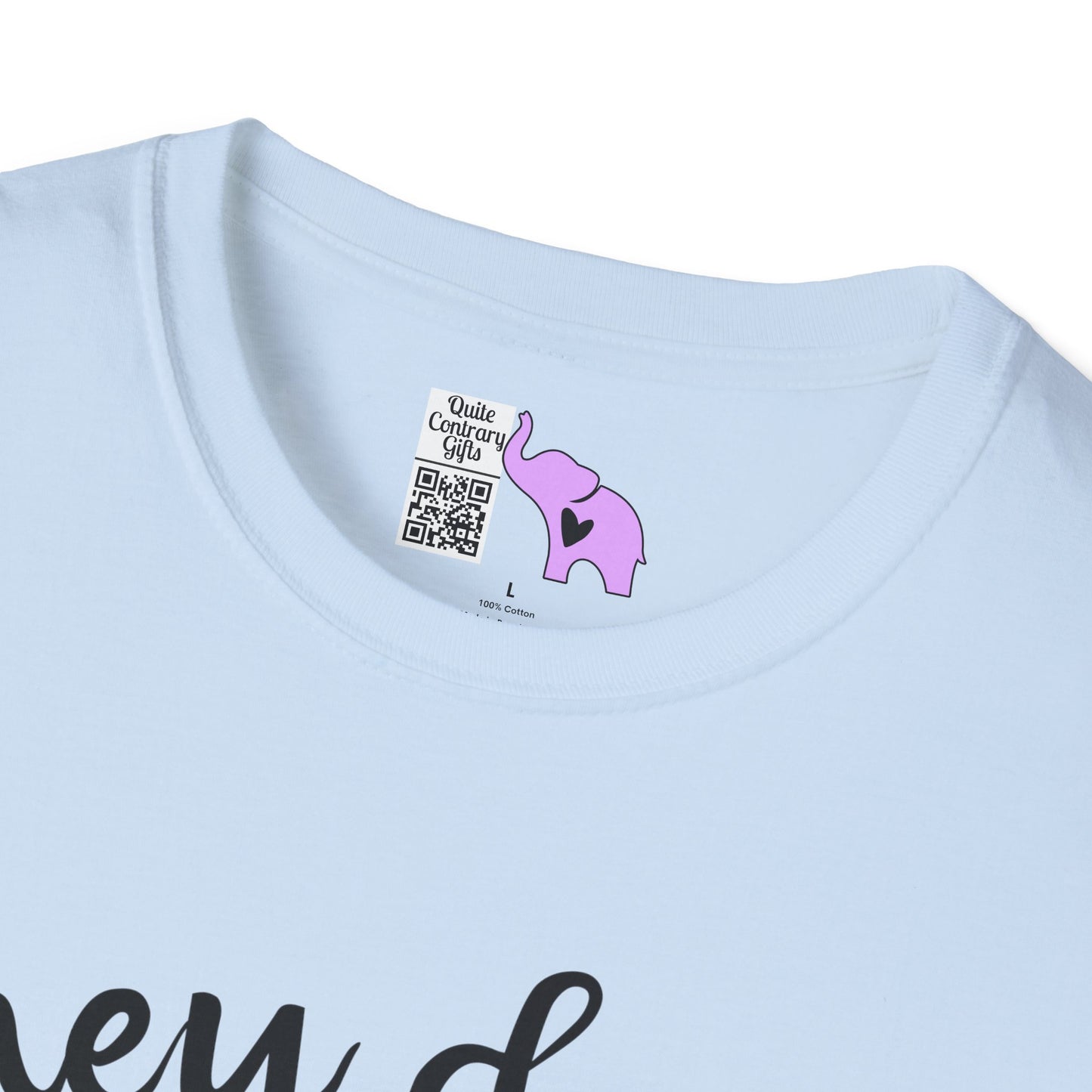 They Don't Pay Me Enough To Care Adult T-shirt