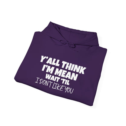 Y'all Think I'm Mean Wait 'Til I Don't Like You Adult Heavy Blend™ Hoodie