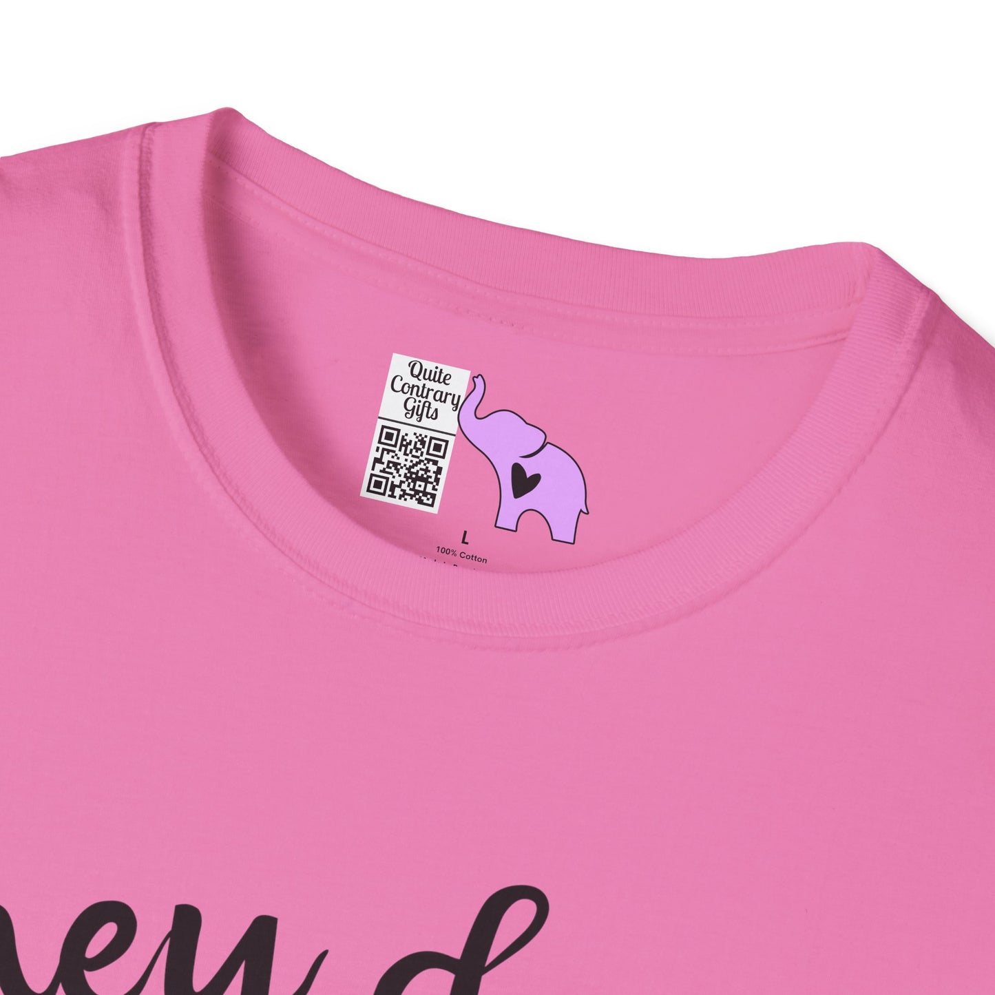 They Don't Pay Me Enough To Care Adult T-shirt