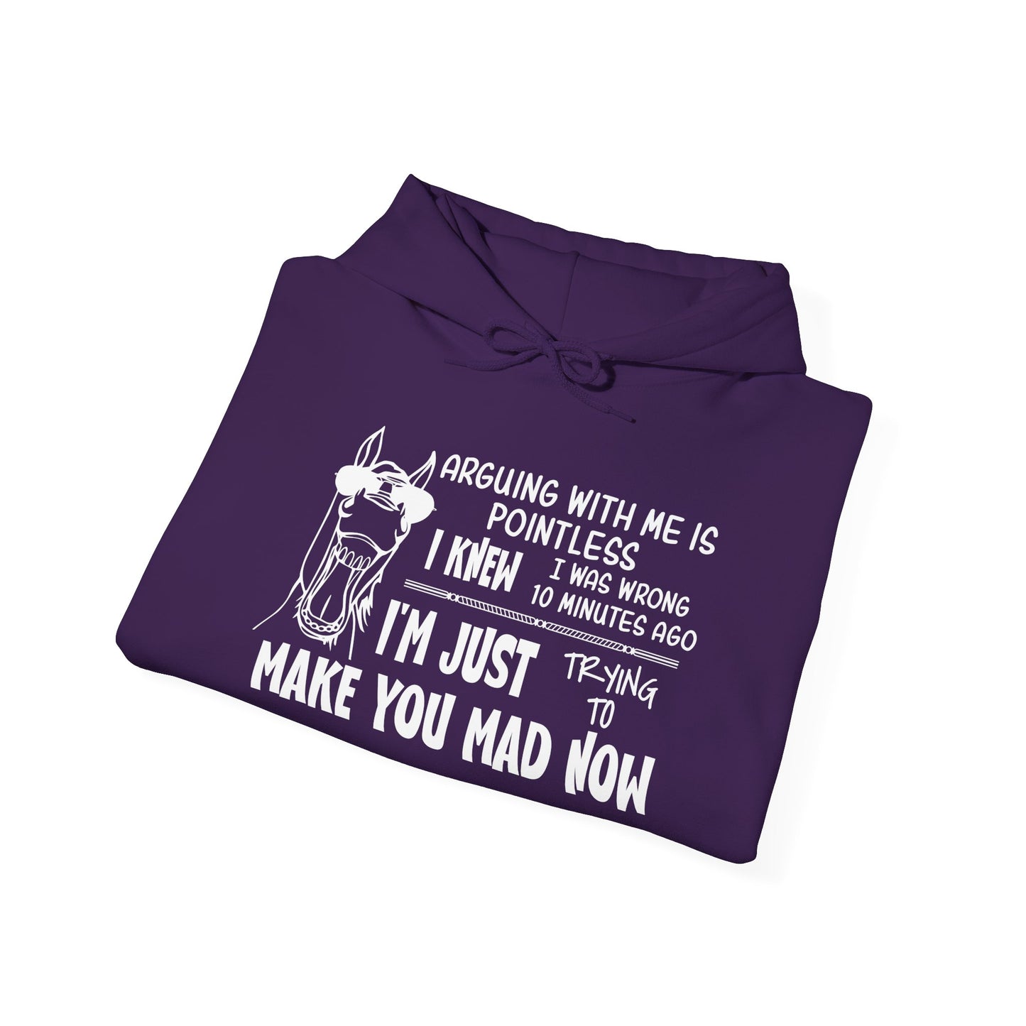 Arguing With Me is Pointless... Heavy Blend™ Hooded Sweatshirt