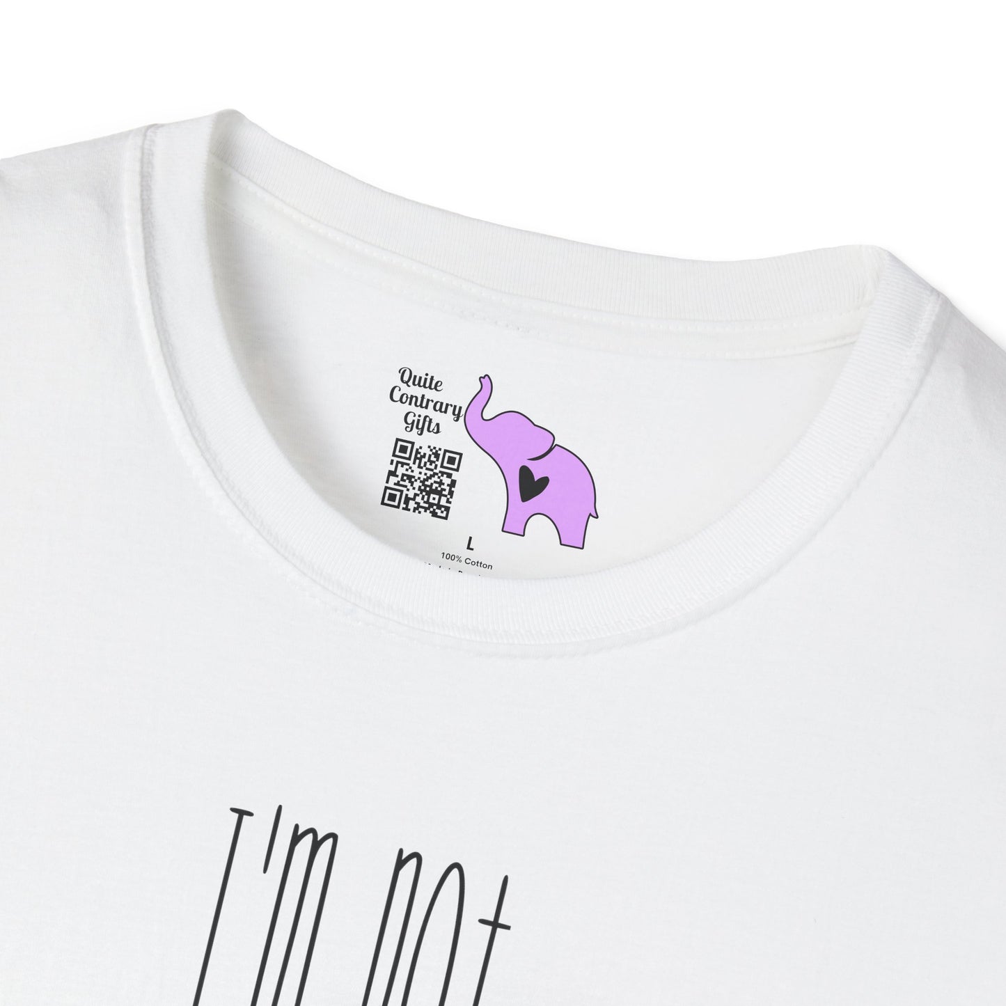 I'm Not Always Sarcastic Sometimes I'm Asleep Adult T-shirt