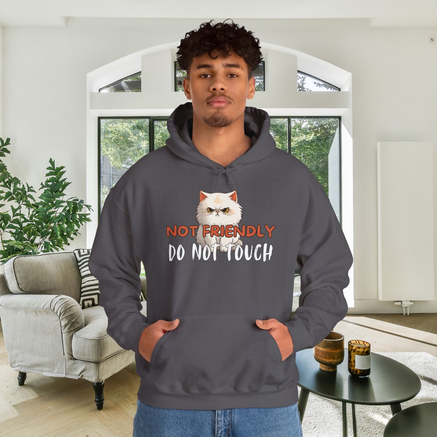 Not Friendly Do Not Touch Cat Heavy Blend™ Hooded Sweatshirt