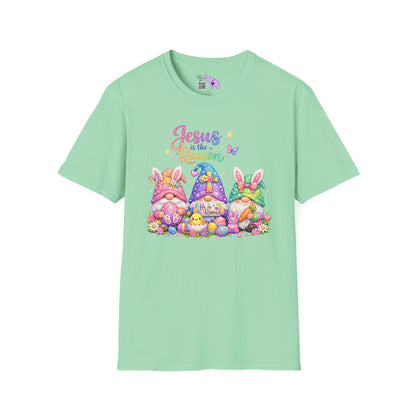 Jesus Is The Reason Adult T-shirt