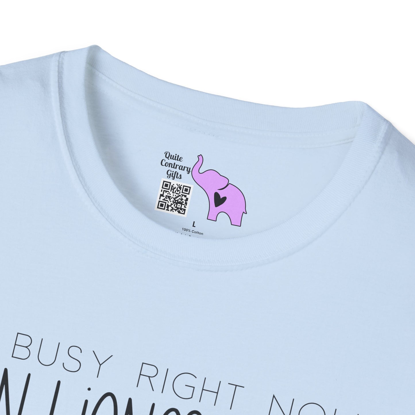 I'm Busy Right Now Can I Ignore You Some Other Time Adult T-shirt