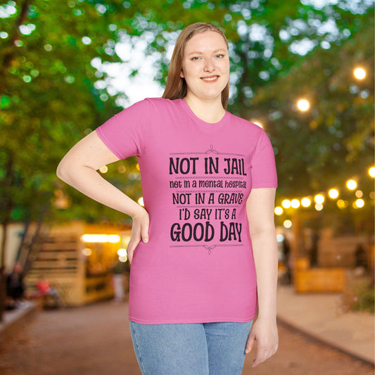 Not In A Jail/Mental Hospital/Dead I'd Say It's A Good Day Adult T-shirt