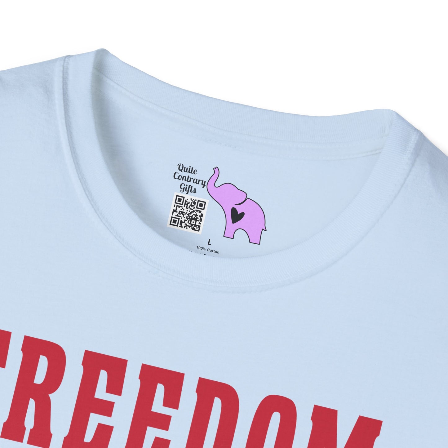 Freedom Family Faith Friends Fireworks 4th of July Adult T-shirt