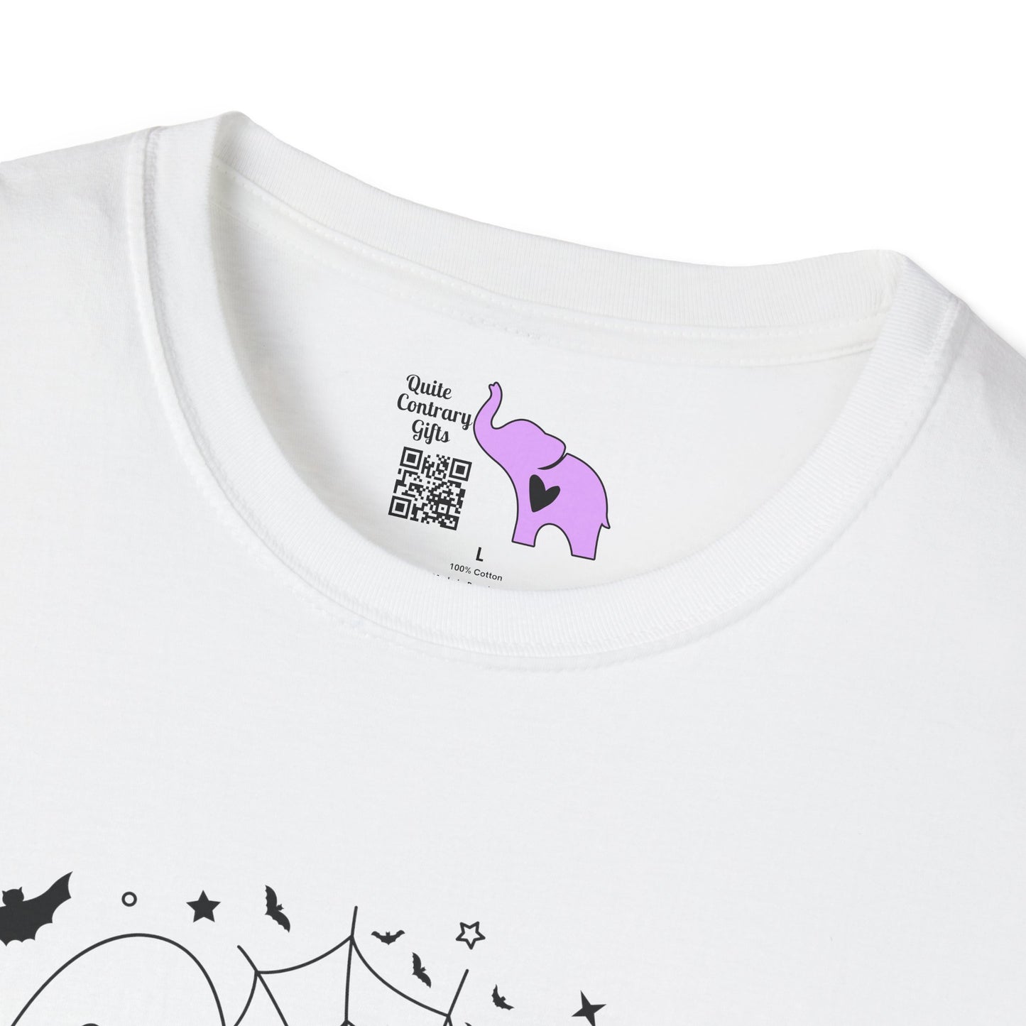 Spooky Season (Ghost & Spider Web Adult T-shirt