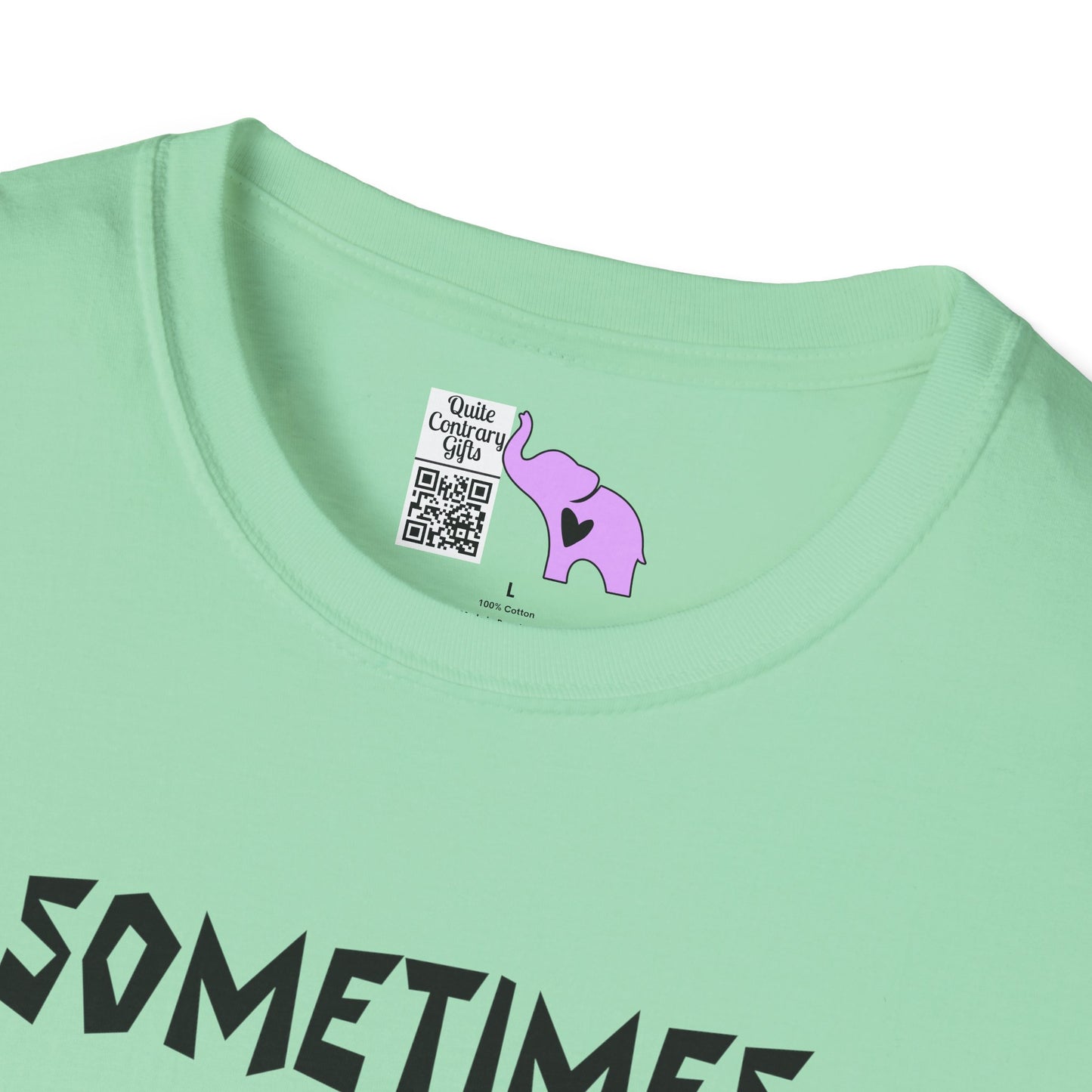 Sometimes I Just Be Fartin' Adult T-shirt