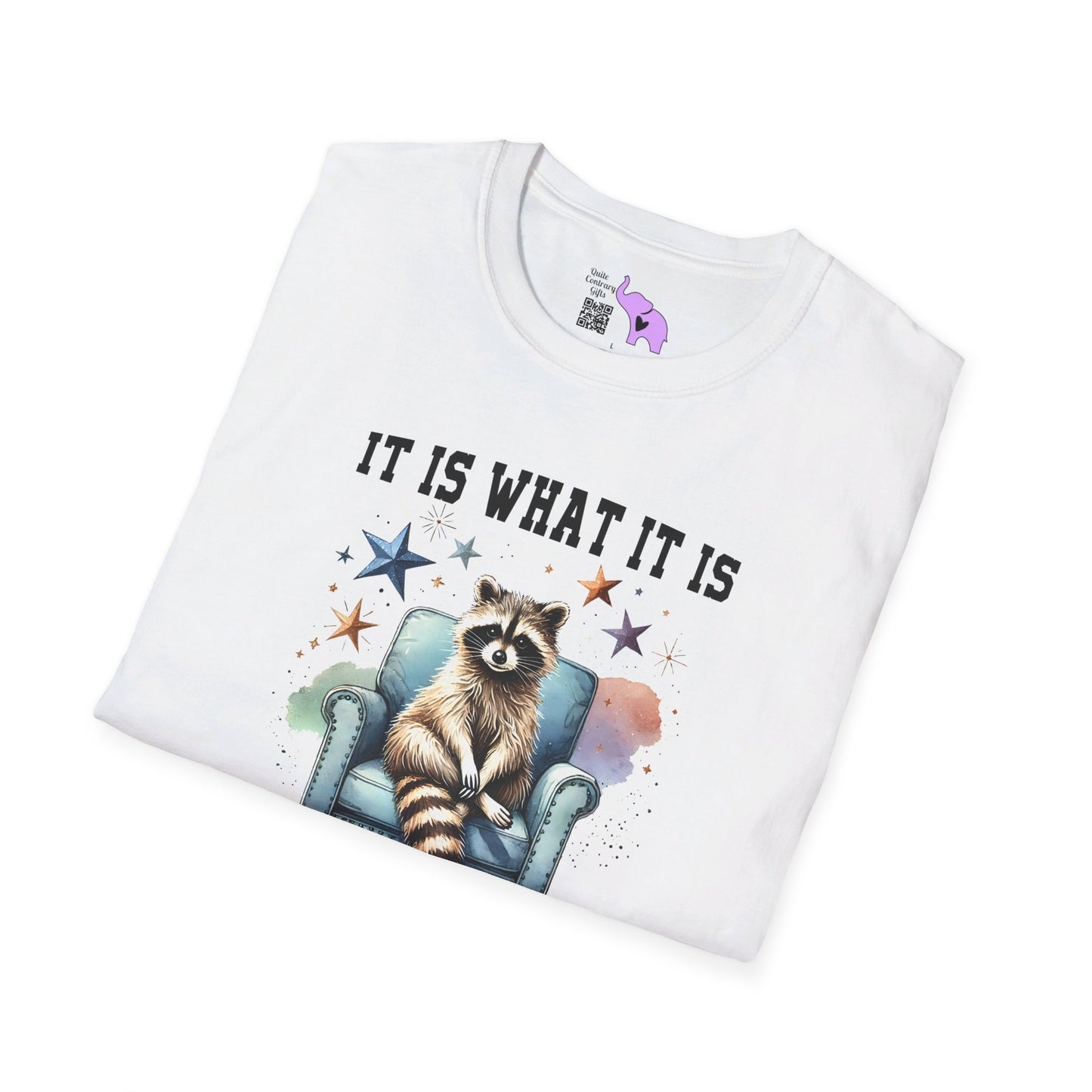 It Is What It Is And It's Not Great Racoon (2) T-shirt