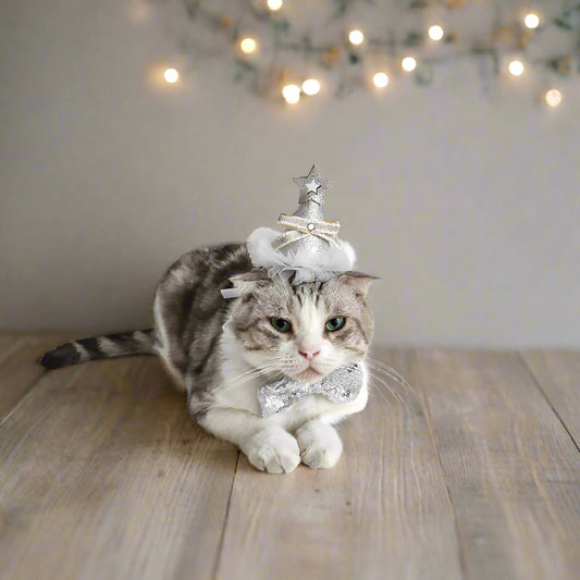 Gold And Silver Sequin Star Hat Bow Pet Costume