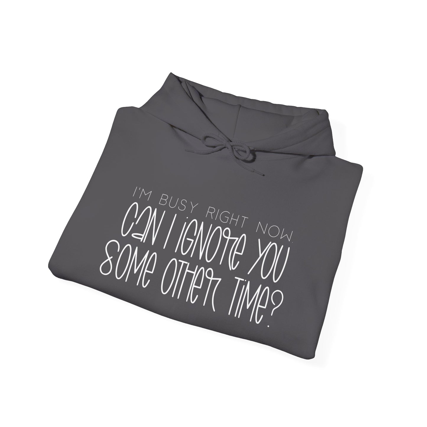I'm Busy Right Now Can I Ignore You Later? Heavy Blend™ Hooded Sweatshirt