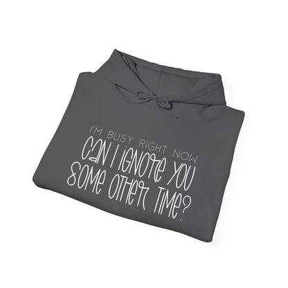 I'm Busy Right Now Can I Ignore You Later? Heavy Blend™ Hooded Sweatshirt