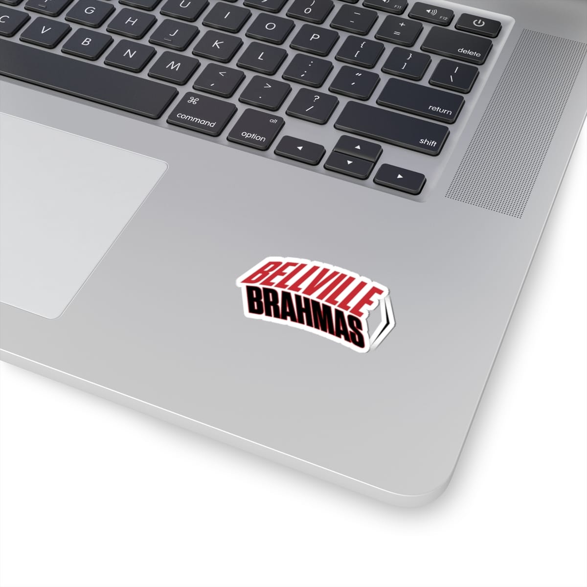 Burton Panthers (Angled, Black) Kiss-Cut Decal