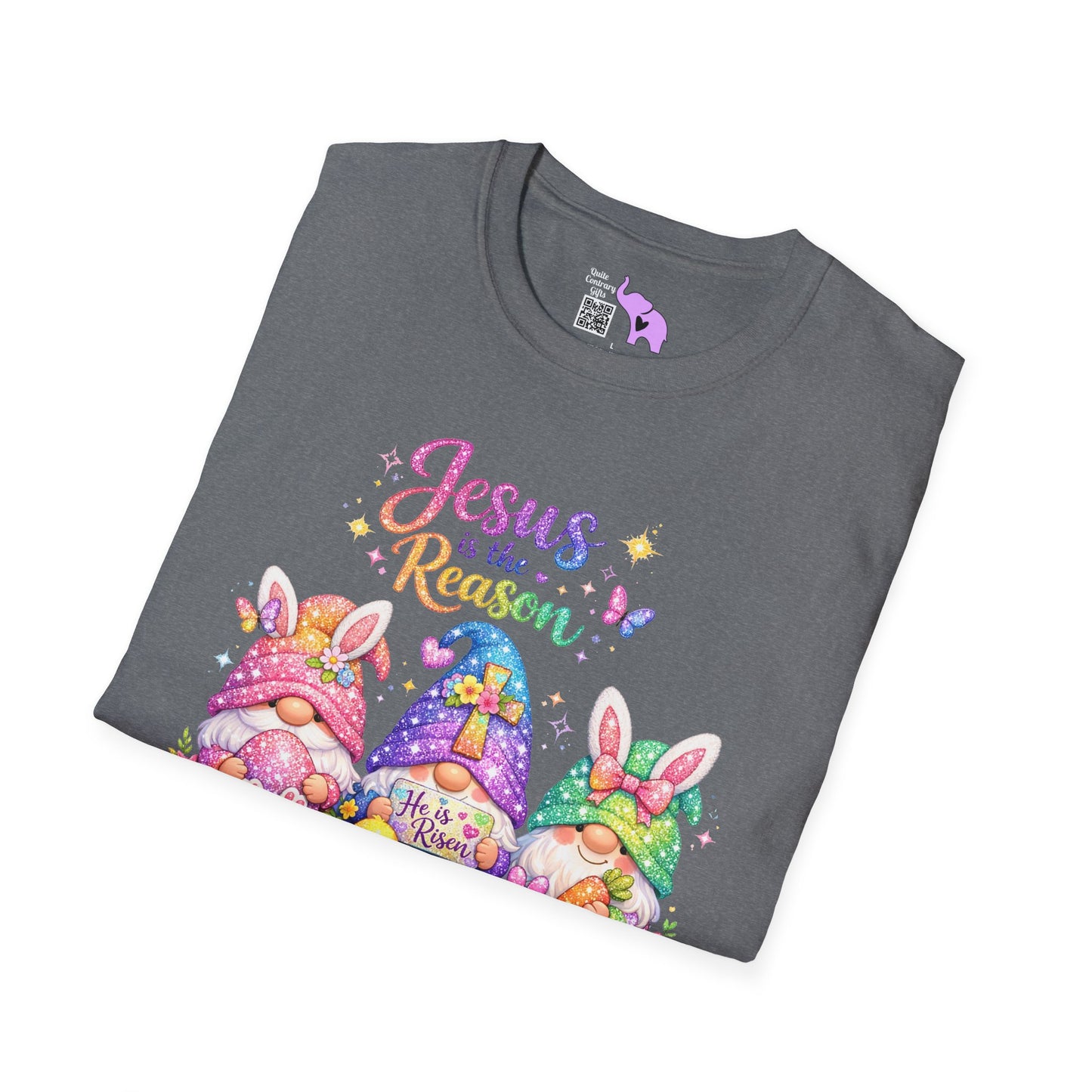 Jesus Is The Reason Adult T-shirt