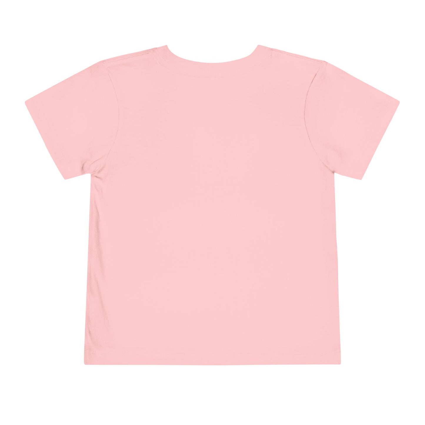 The Sequel (Second Sibling) Toddler Tee