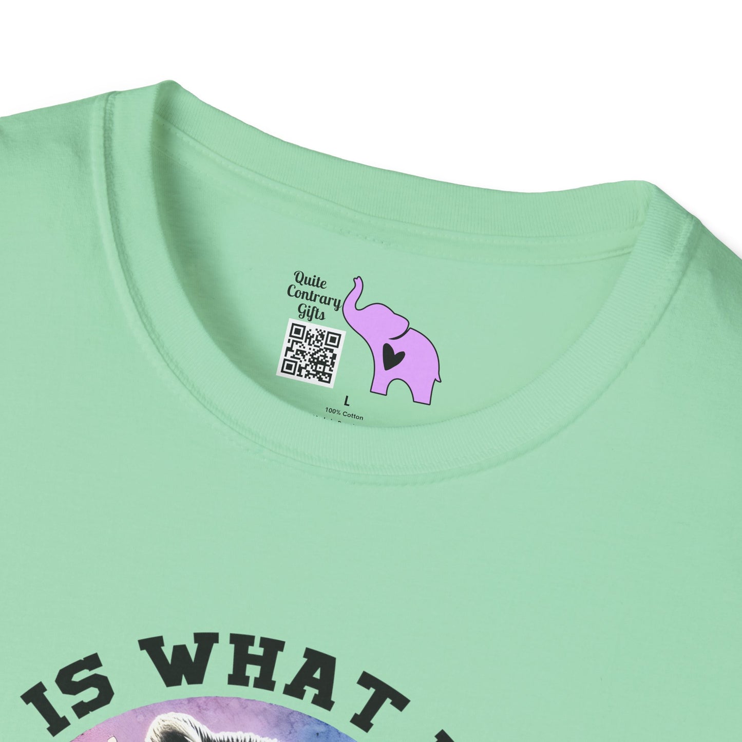 It Is What It Is And It's Not Great Raccoon Adult T-shirt