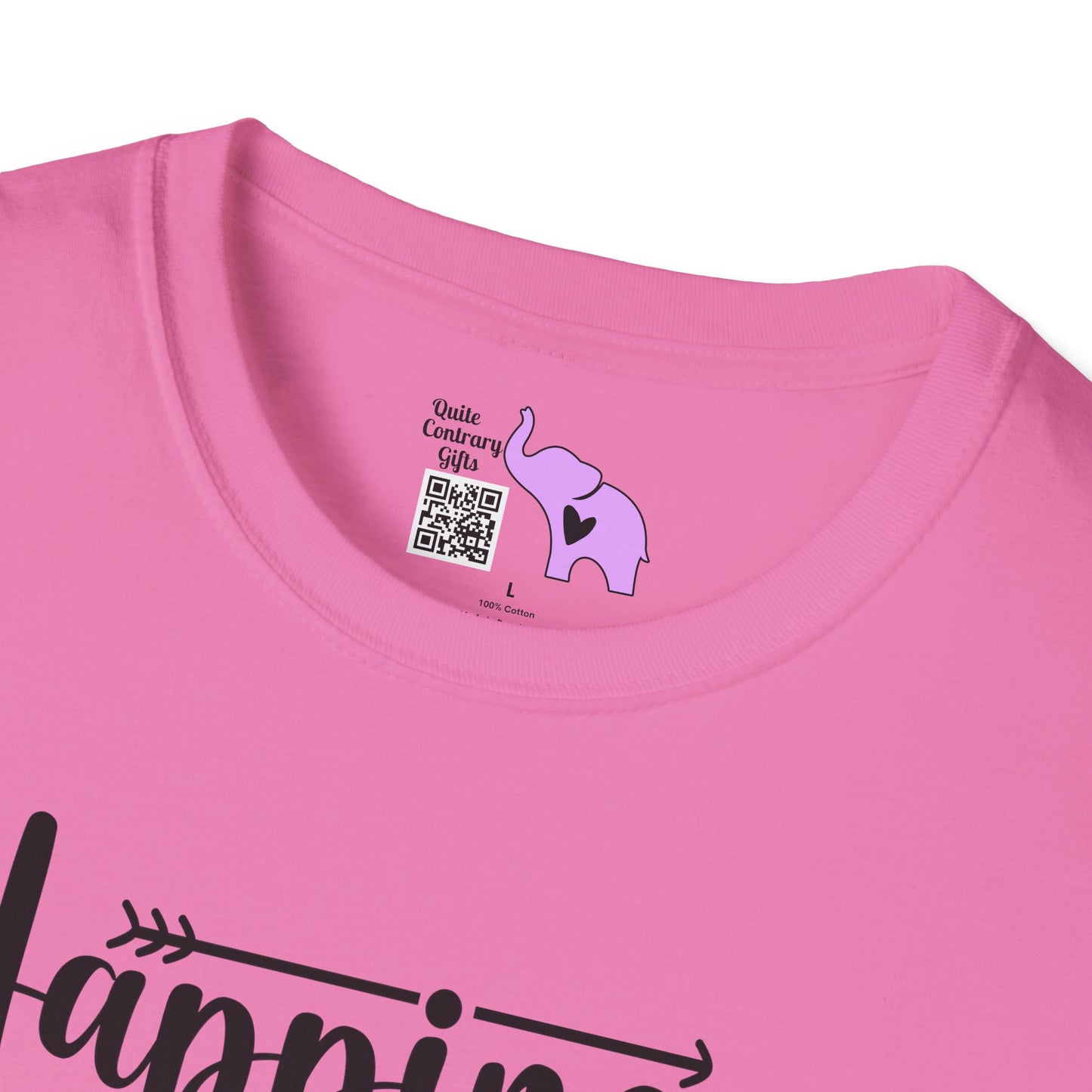 Happiness is a Function of Accepting What Is Adult T-shirt