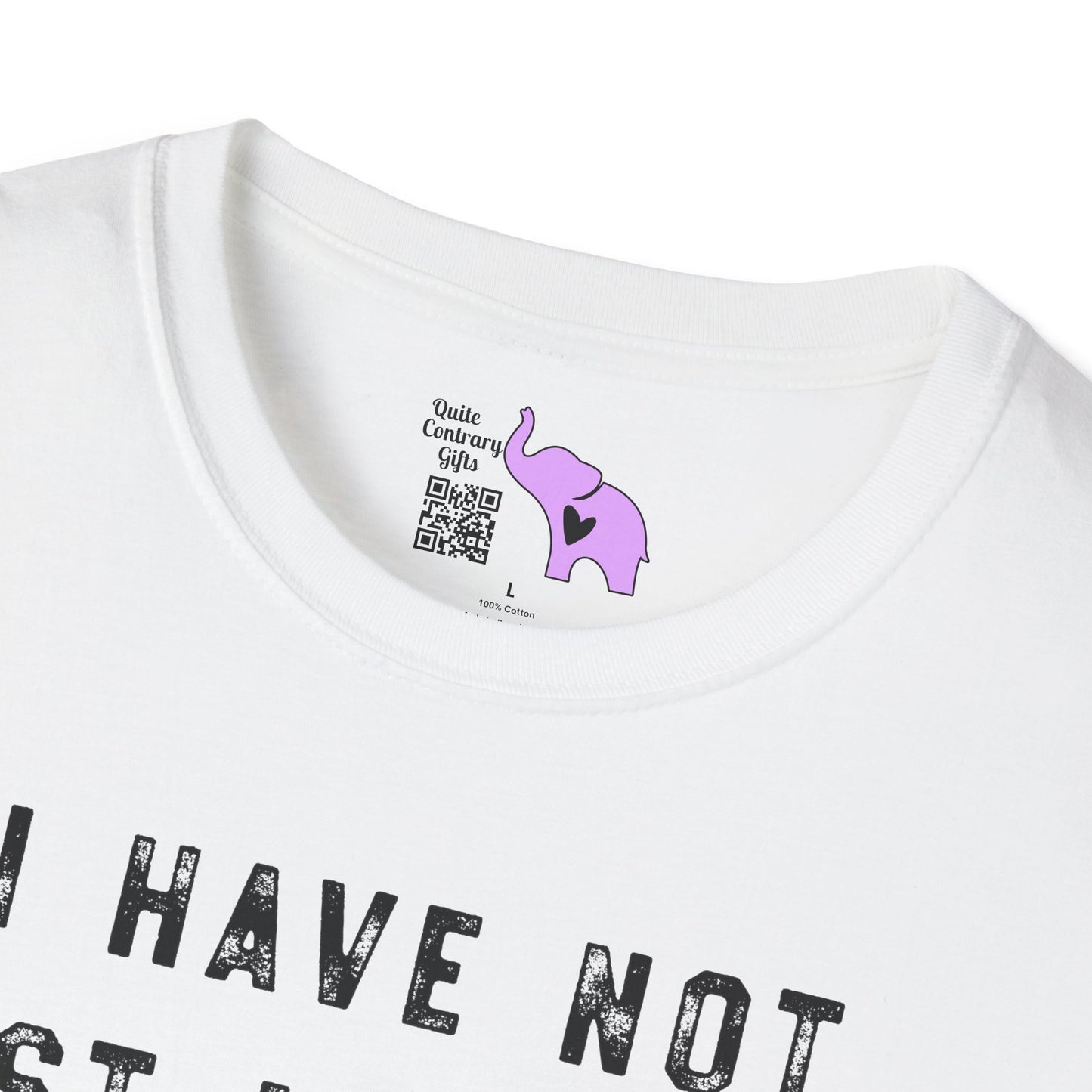 I Have Not Lost My Mind It's Backed Up On A Disk Adult T-shirt