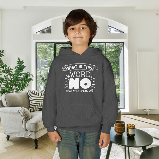 What Is This Word No That You Speak Of? Youth Heavy Blend Hoodie