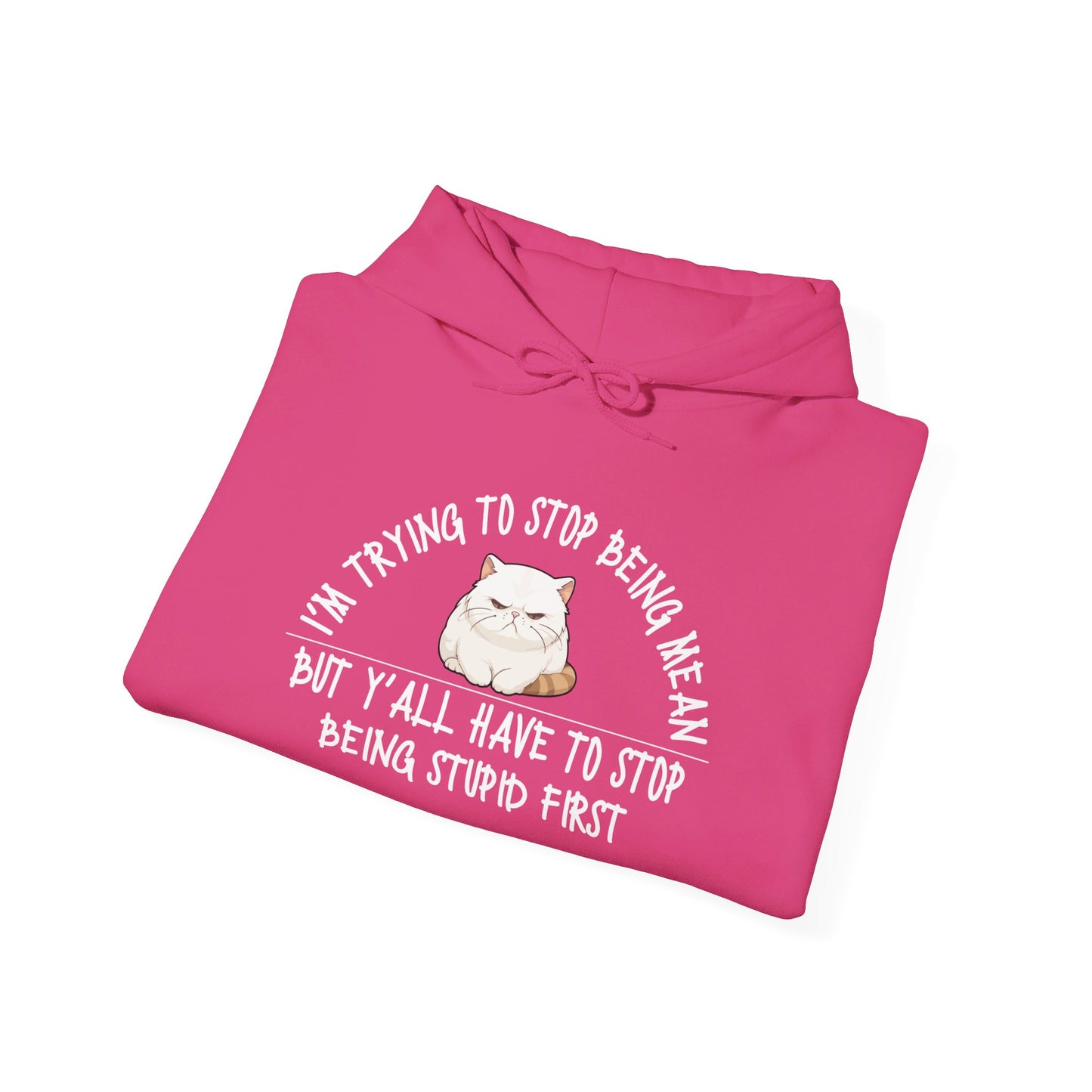 I'm Trying To Stop Being Mean... Heavy Blend™ Hooded Sweatshirt