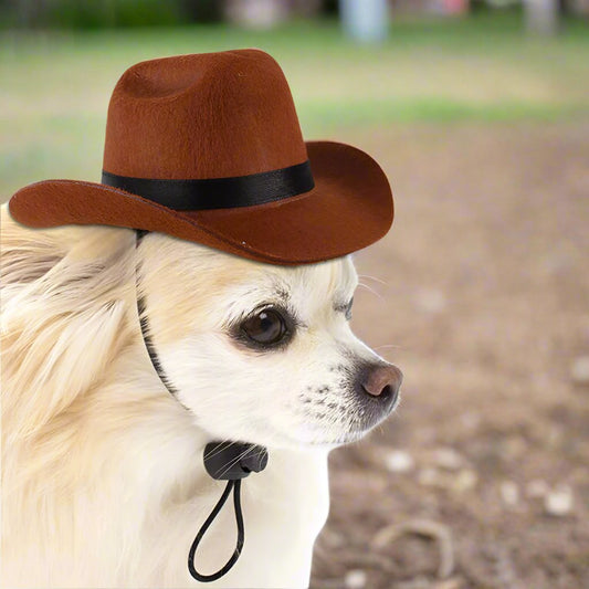 Adjustable Cowboy Hat for Pets