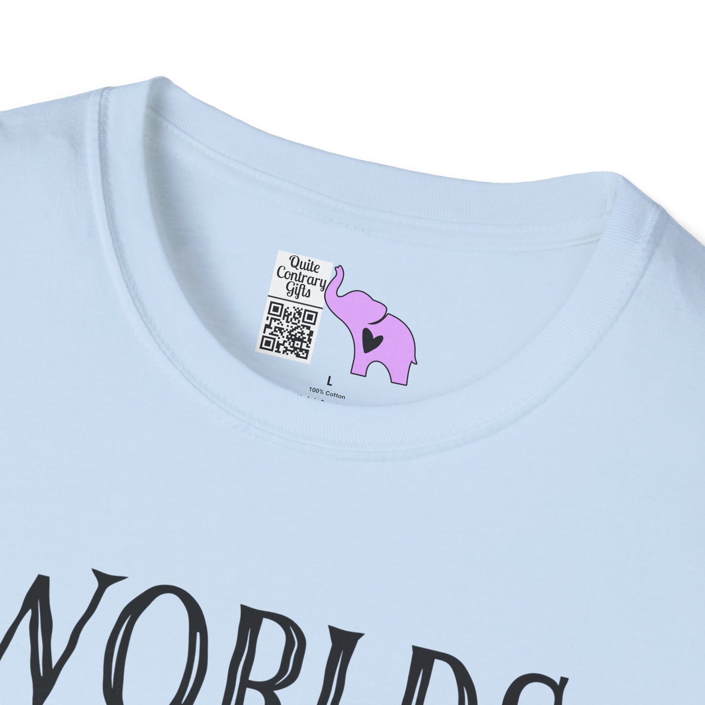 Worlds Okayest Dad Adult T-shirt