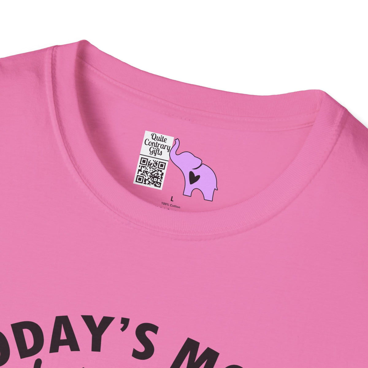 Today's Mood Witchy With A Chance of Sarcasm Adult T-shirt