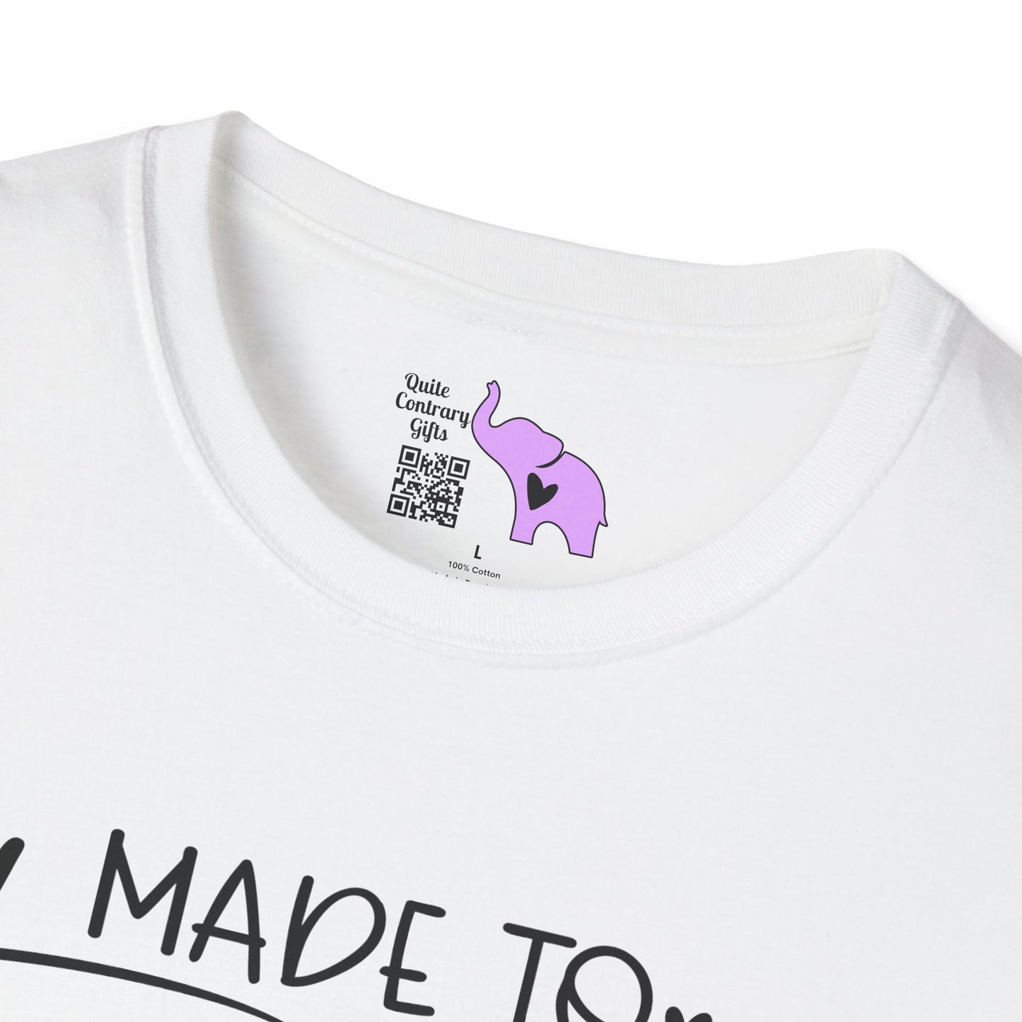 Made to Teach Rainbow Adult T-shirt