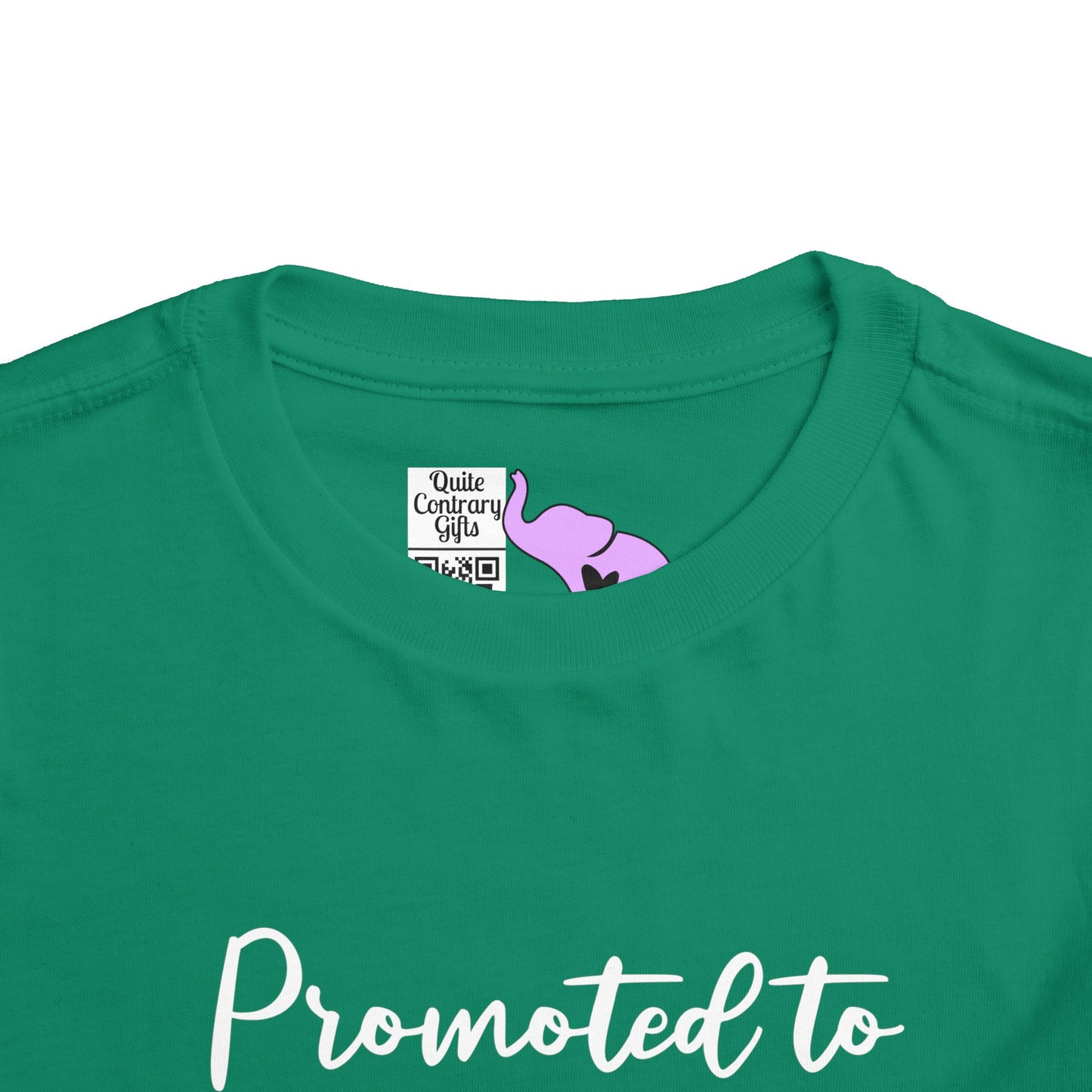 Promoted to Big Brother (Arrow) Toddler Tee