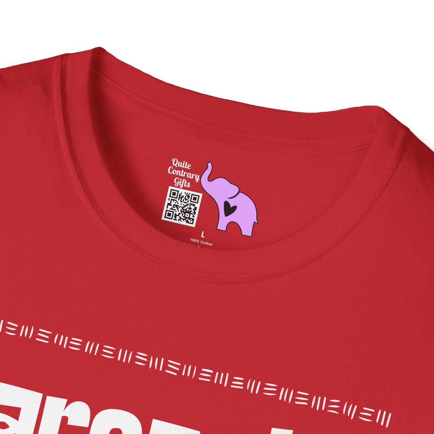 Sarcastic & Fantastic Adult T-shirt