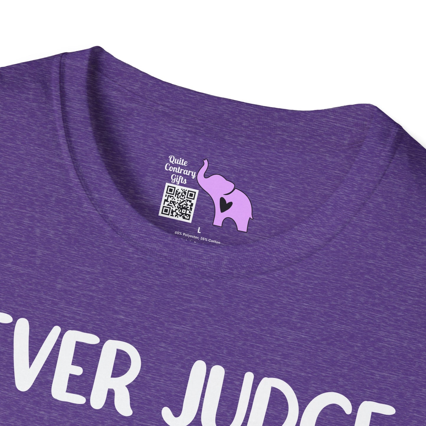 Never Judge Someone By The Visibility Of Their Illness Adult T-shirt