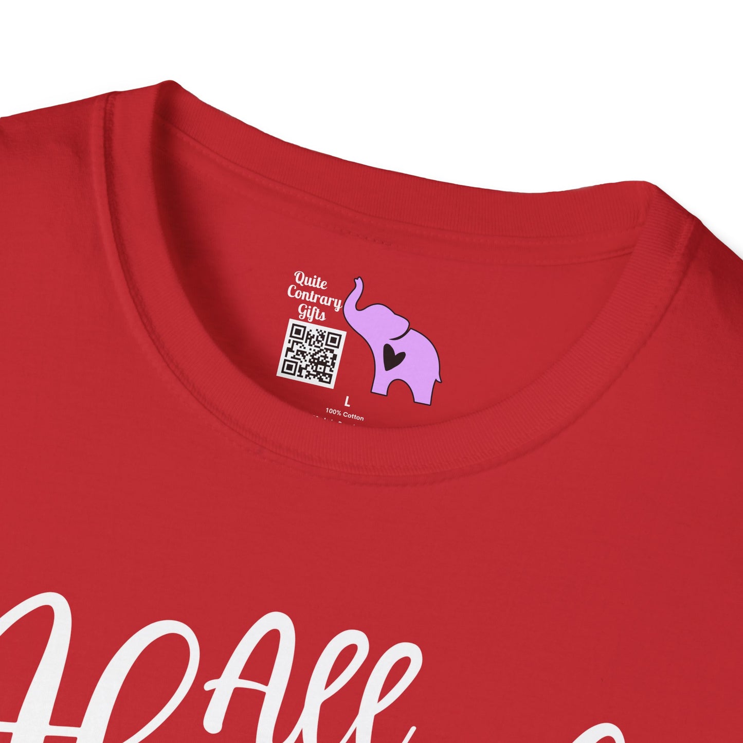 All Aboard The Hot Mess Express Adult T-shirt